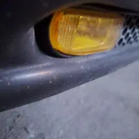 زنبوری مه شکن دار‌ رنگ زرد