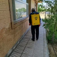 سمپاشی موریانه با مجوز رسمی وزارت بهداشت