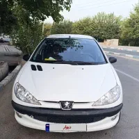 206 تیپ دو بی رنگ و کم کار