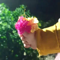 فروش-ویلا-همراه-باغ-میوه