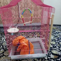 قفس پرنده