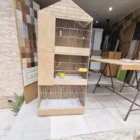 قفس چوبی وعروس هلندی