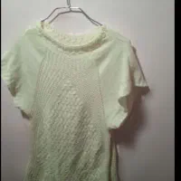 پلیور و دوتا وست