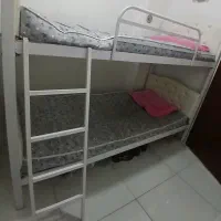 تخت دو طبقه فلزی|تخت و سرویس خواب|مشهد, حضرت حجت|دیوار