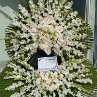 تاج گل کاژه