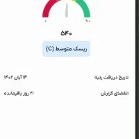 ضامن رتبه C باجت میشم