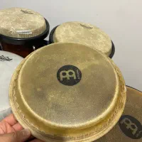 پوست طبیعی کونگا