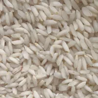 برنج عنبربو شوشتر امسالی|خوردنی و آشامیدنی|قم, صدوق|دیوار