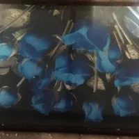 تابلو قرآنی و گل|تابلو، نقاشی، عکس|ایذه, |دیوار