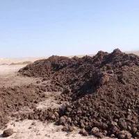 فروش کود حیوانی گاوی سوخته ۳ سال خشک|خدمات باغبانی و درختکاری|گلبهار, شهر جدید گلبهار|دیوار