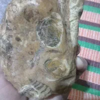 سنگ باشکلهای فضایی