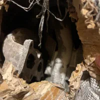 سر سیلندر پراید ۱۶ سوپاپb6