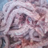 اسکلت گردن