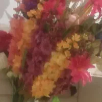 گل نو مصنوعی