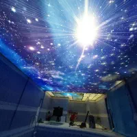 مجری تخصصی سقف مجازی و کشسان