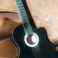 گیتارهای حرفه ای کمیاب اورجینال