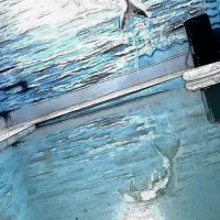 اجاره ویلا استخر ابگرم داخل امشب خالی