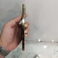 ایفون 12 پرومکس 256 A/CH|موبایل|اصفهان, باغ دریاچه|دیوار