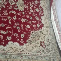 فرش (۱۲ و ۹ متری) با میز جلو مبلی|فرش|رشت, آزادگان|دیوار