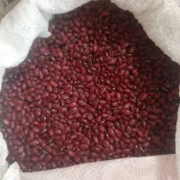 لوبیا قرمز