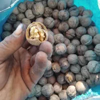 گردو بادام درجه یک