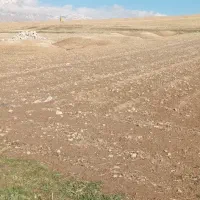 زمین-مقیمی-تجاری-مسکونی-لب-بلوار-زارعی