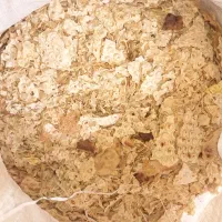 نان خشک|حیوانات مزرعه|بندر کنگان, |دیوار