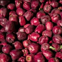 اکیب سیب چین دارم کار دارید تماس بگیرید با تشکر