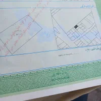 زمین تک برگ سند شهر  زرن آباد