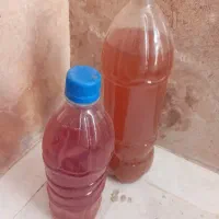 ابغوره