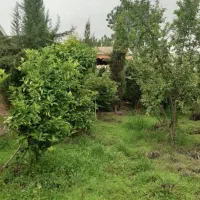 زمین سند تک برگ ۶۳۶ بنا ۷۵ نقد یا تهاتر|فروش خانه و ویلا|کرج, فاز ۳ گوهردشت|دیوار