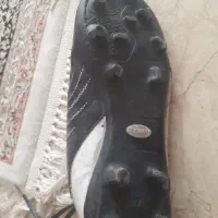 کفش استوک|کیف، کفش، کمربند|اصفهان, سرچشمه|دیوار