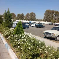 نگهبان پارکینگ شیفت روز بیمارستان فاطمه الزهرا