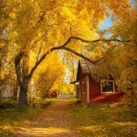 نیازمند وام