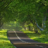 ۳۳۳ متر امان اباد زمین جاده باغ ها (متری فقط ۱۲۰۰)
