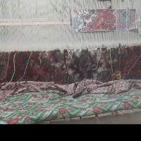 تعدادی بافنده فرش هریس در منزل خودتان نیازمندیم