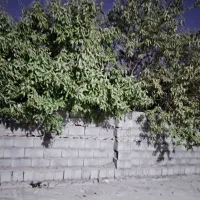 فروش باغ و خانه ویلایی