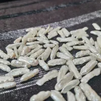 مروارید باروک