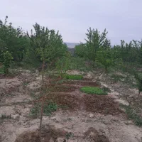 باغ-و-زمین-کشاورزی-ویلا-سازی