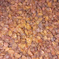 کشمش تازه بدون دم