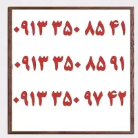 ۰۹۱۳.۲۵۸.۸۷۳۲|سیم‌کارت|یزد, |دیوار