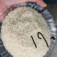 برنج نیم دانه وسرلاشه  هاشمی اعلاوبرنج درشت هاشمی|خوردنی و آشامیدنی|الوند, |دیوار