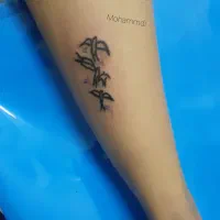 ارایش دائم و میکرو پیگمنتشین و میکرو بلیدینگ ابرو|خدمات آرایشگری و زیبایی|قرچک, مهدیه|دیوار