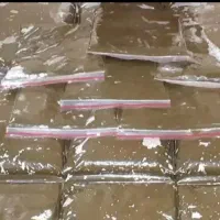 سبزی قرمه.  قلیه  پلویی کاملا بهداشتی و تمیز