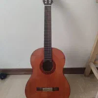 گیتار C40