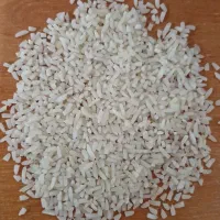 نیمدانه هاشمی