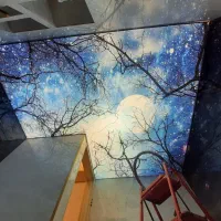 اجرای تخصصی سقف کشسان