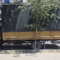 خاور مبلی مدل ۷۲|خودرو سنگین|کرج, کرج نو|دیوار