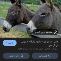 سلام یک راس خرنر خوب بدون ایراد ب شرط ارام بودن