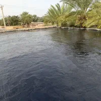 قیر گونی و نصب ایزوگام دلیجان|خدمات پیشه و مهارت|اهواز, شریعتی جنوبی|دیوار